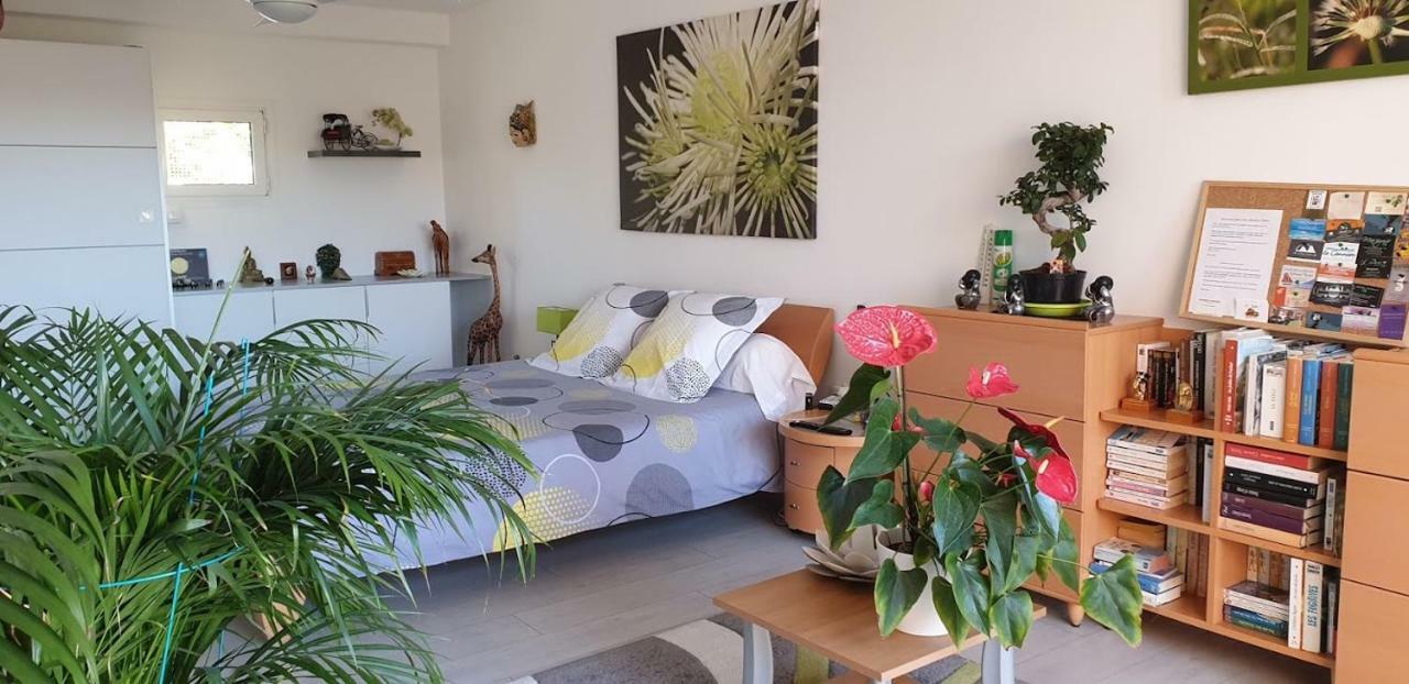 Chambres D'Hotes Chez Pat Et Nanou Six-Fours-les-Plages Exteriér fotografie